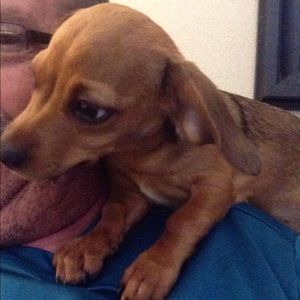 Meet your Posher, Ben